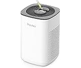 Compact Air Purifier