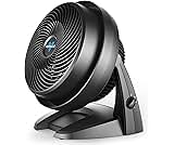 Mini Fan or Air Circulator